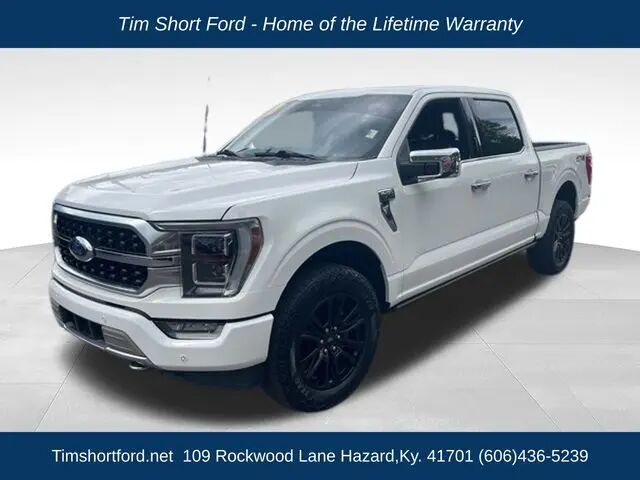 2023 Ford F-150 Platinum — photo 1 of 39