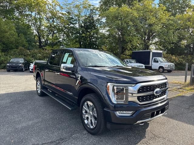2021 Ford F-150 Platinum — photo 1 of 5