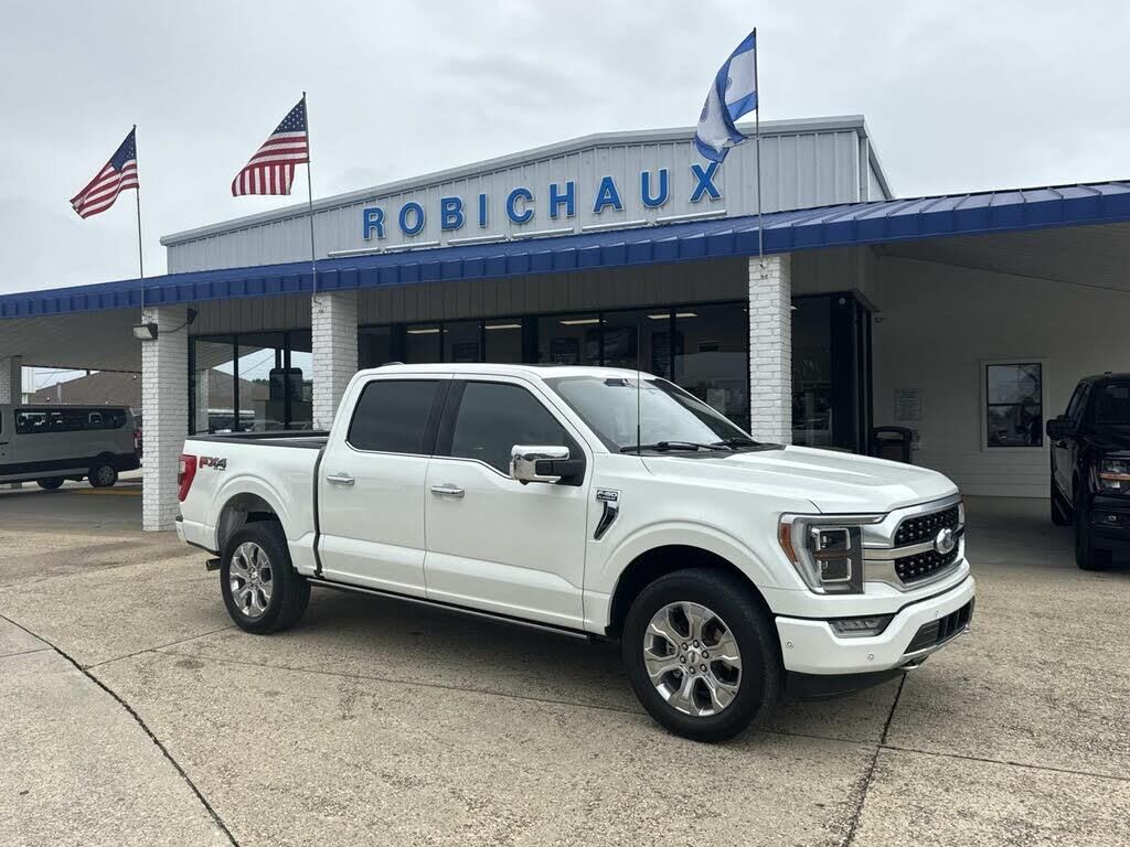 2022 Ford F-150 Platinum — photo 1 of 1