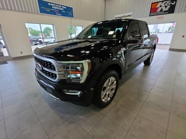 2022 Ford F-150 Platinum — photo 1 of 26