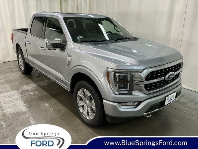 2023 Ford F-150 Platinum — photo 1 of 13