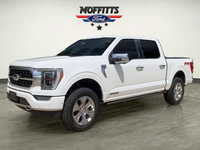 2022 Ford F-150 Platinum — photo 1 of 13
