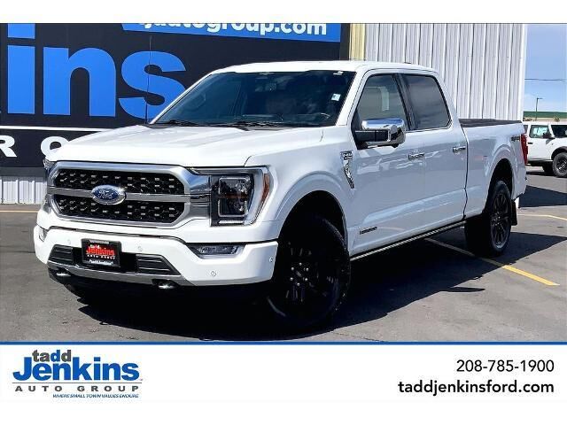 2023 Ford F-150 Platinum — photo 1 of 13