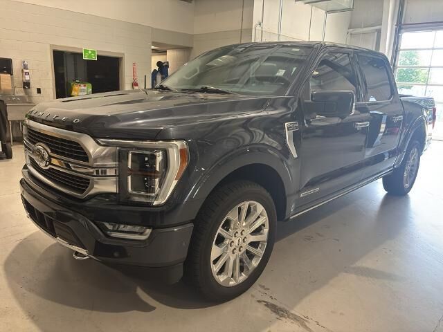 2021 Ford F-150 Platinum — photo 1 of 13