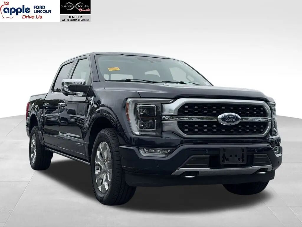 2021 Ford F-150 Platinum — photo 1 of 13