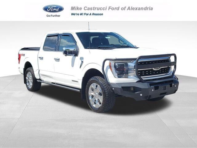 2021 Ford F-150 Platinum — photo 1 of 26