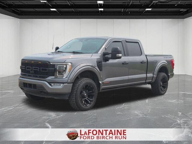 2022 Ford F-150 Platinum — photo 1 of 26