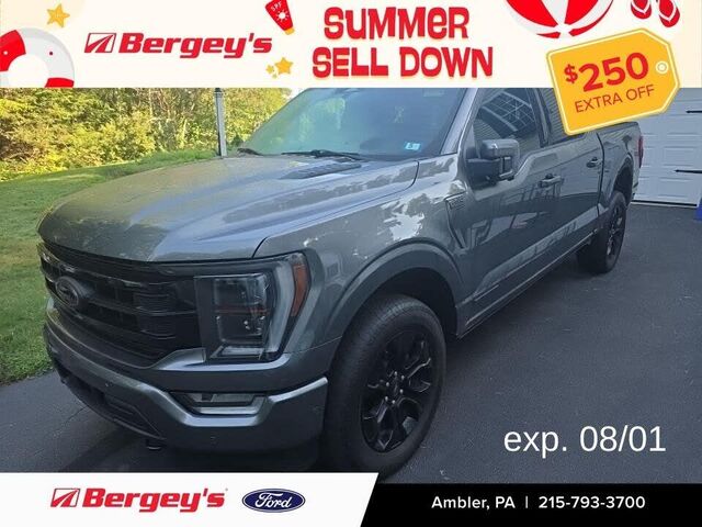 2023 Ford F-150 Platinum — photo 1 of 1