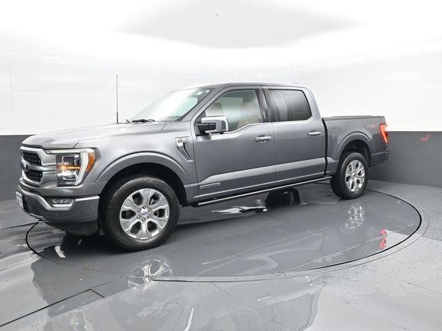2023 Ford F-150 Platinum — photo 1 of 13