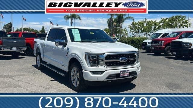 2021 Ford F-150 Platinum — photo 1 of 1