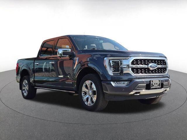2021 Ford F-150 Platinum — photo 1 of 13