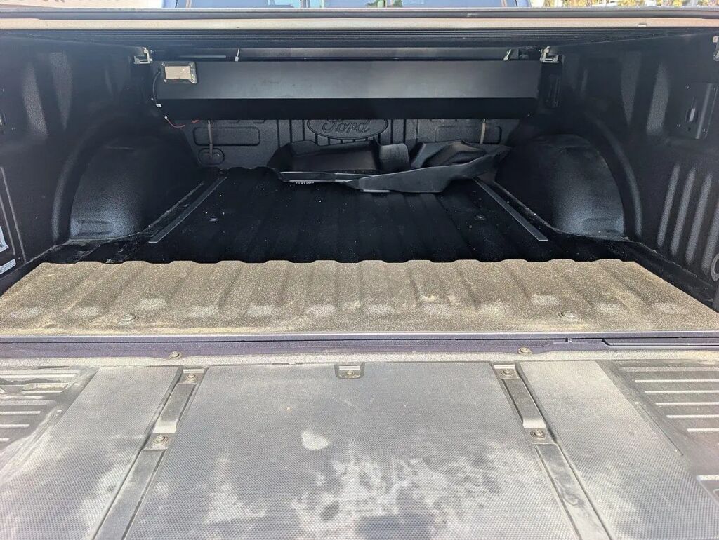 2021 Ford F-150 Platinum — photo 1 of 13
