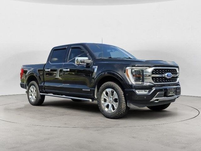 2023 Ford F-150 Platinum — photo 1 of 1