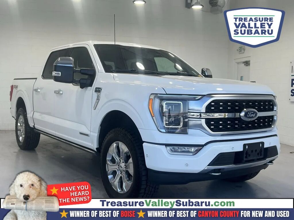 2021 Ford F-150 Platinum — photo 1 of 13