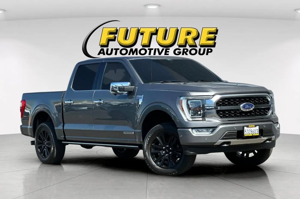 2022 Ford F-150 Platinum — photo 1 of 13