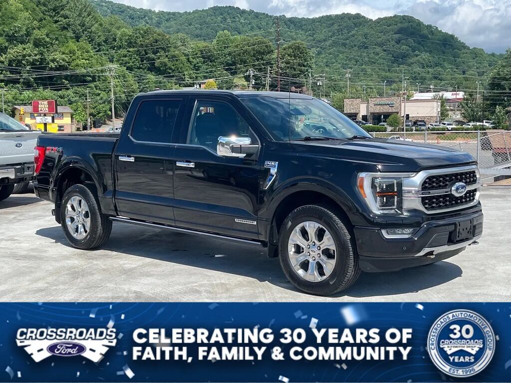 2022 Ford F-150 Platinum — photo 1 of 14