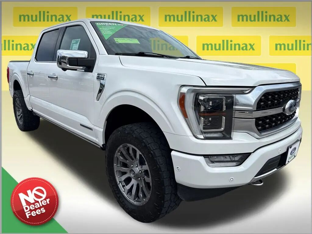 2021 Ford F-150 Platinum — photo 1 of 11