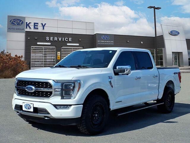 2021 Ford F-150 Platinum — photo 1 of 1