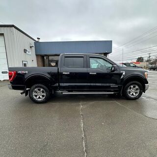2023 Ford F-150 XL — photo 1 of 12
