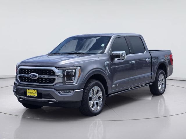 2021 Ford F-150 Platinum — photo 1 of 65