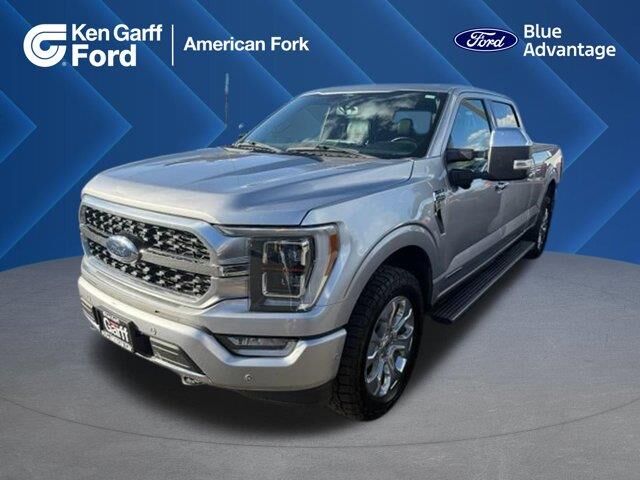 2022 Ford F-150 Platinum — photo 1 of 13