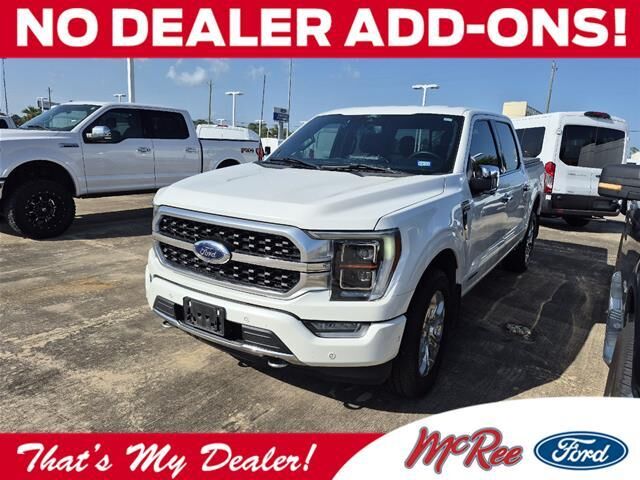 2022 Ford F-150 Platinum — photo 1 of 13