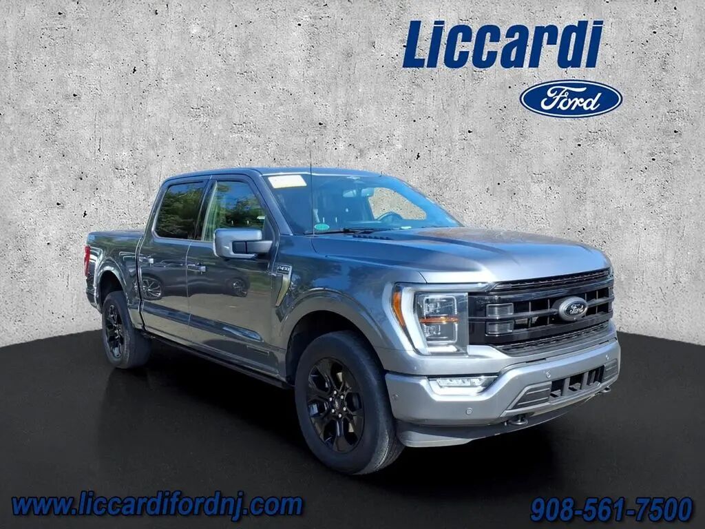 2023 Ford F-150 Platinum — photo 1 of 13