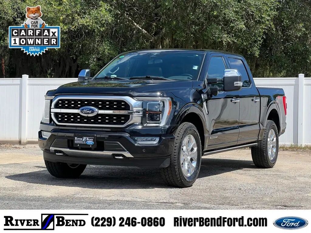2023 Ford F-150 Platinum — photo 1 of 24