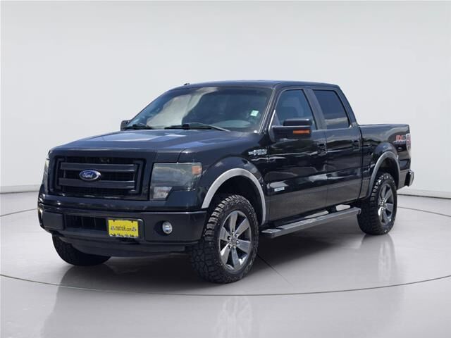 2014 Ford F-150 FX4 — photo 1 of 14