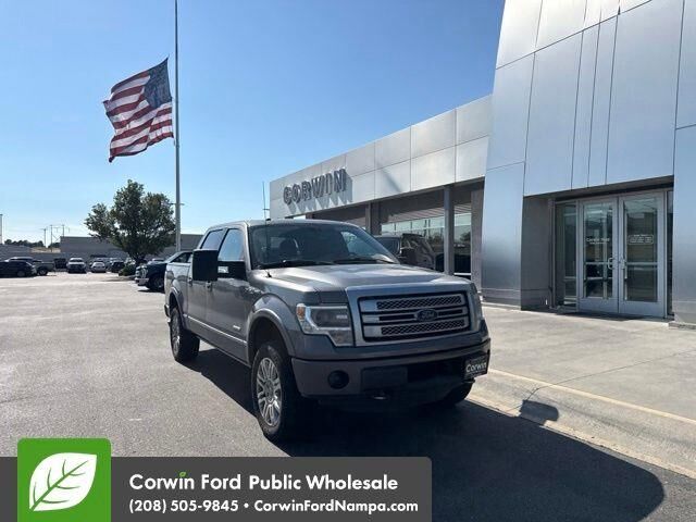 2013 Ford F-150 Platinum — photo 1 of 14
