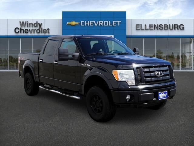 2010 Ford F-150 Platinum — photo 1 of 46