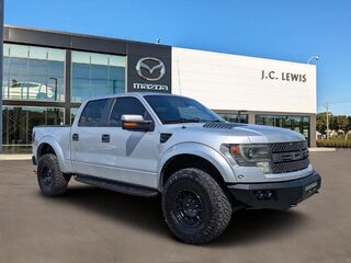 2014 Ford F-150 SVT Raptor — photo 1 of 13