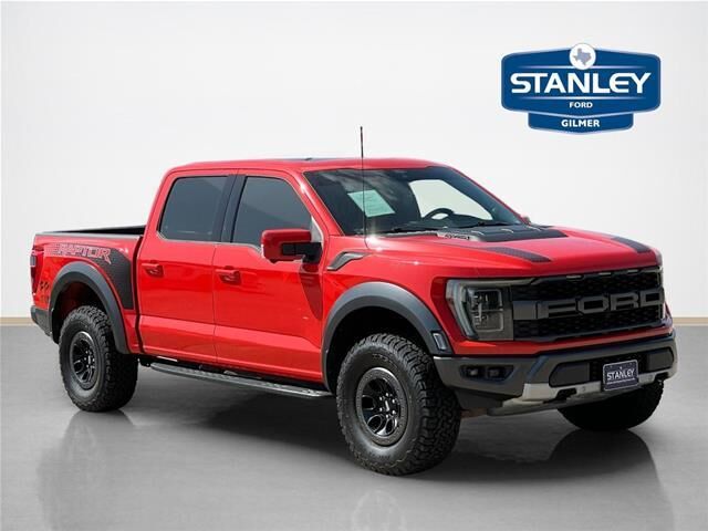 2022 Ford F-150 Raptor — photo 1 of 24