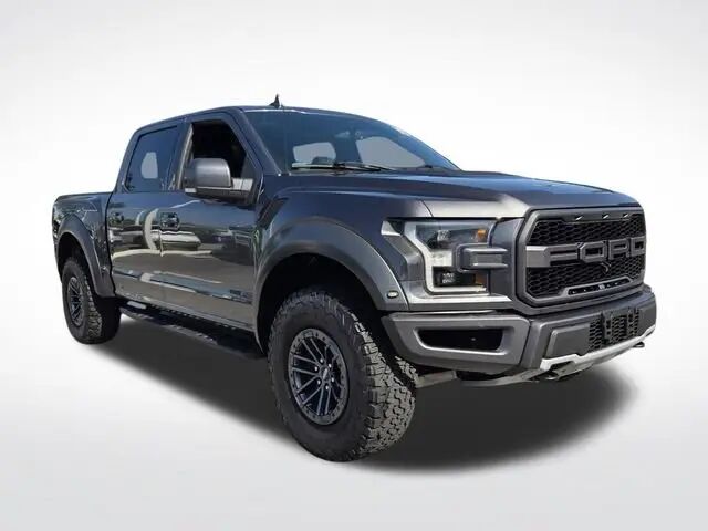 2019 Ford F-150 Raptor — photo 1 of 12