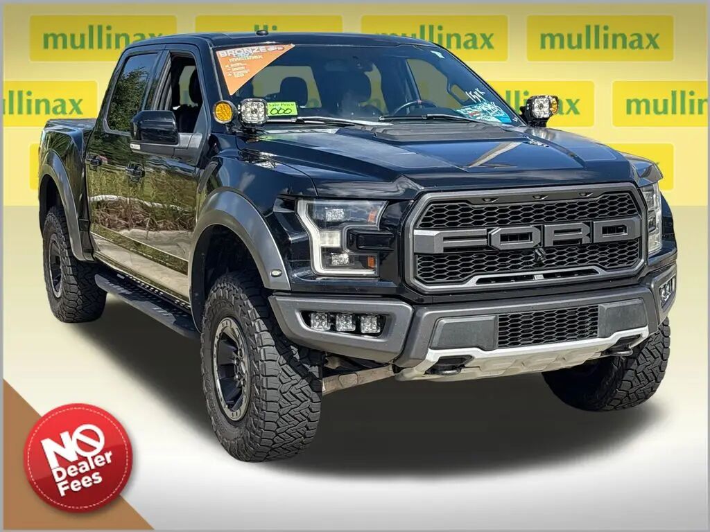 2018 Ford F-150 Raptor — photo 1 of 19