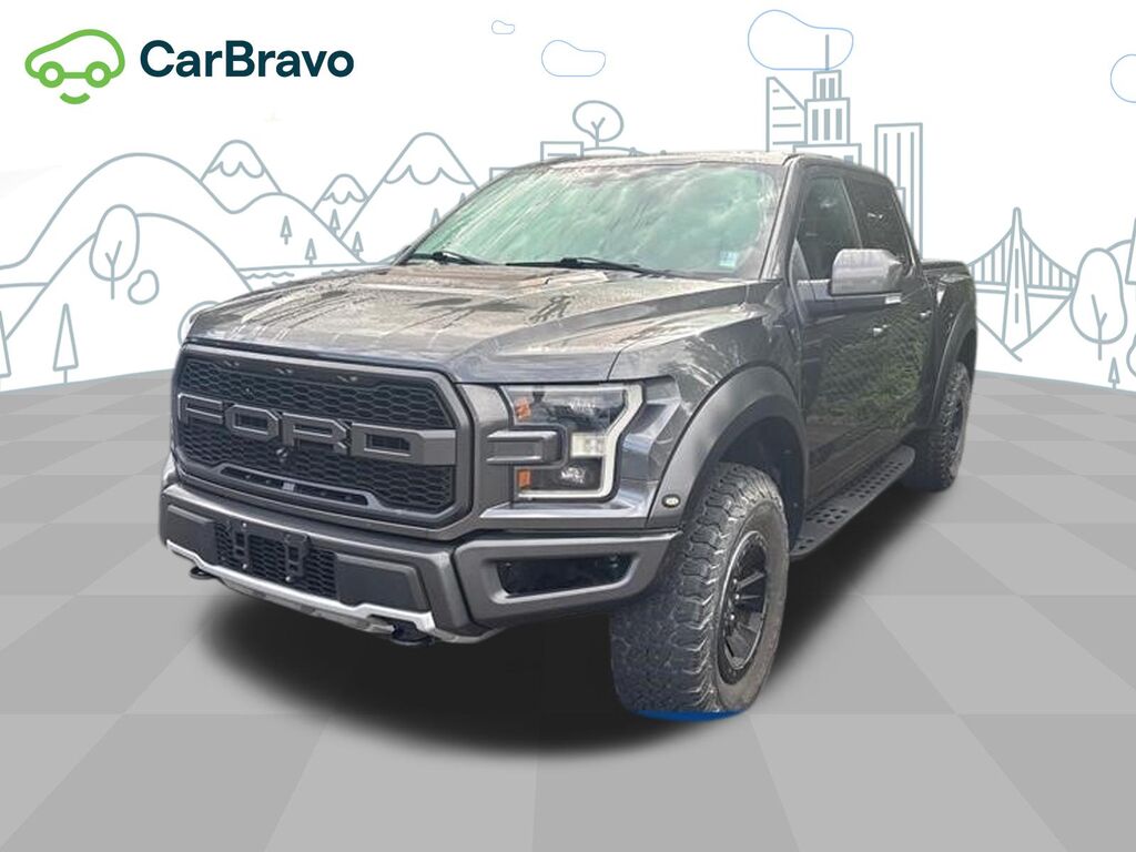 2018 Ford F-150 Raptor — photo 1 of 5