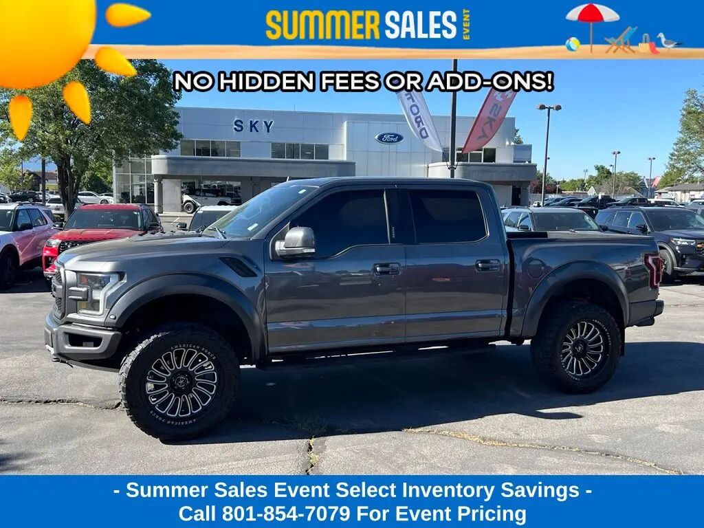 2019 Ford F-150 Raptor — photo 1 of 17
