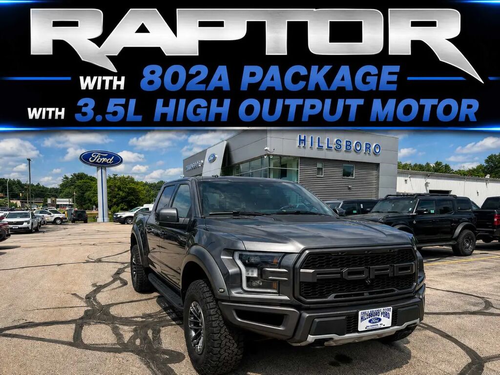 2019 Ford F-150 Raptor — photo 1 of 13