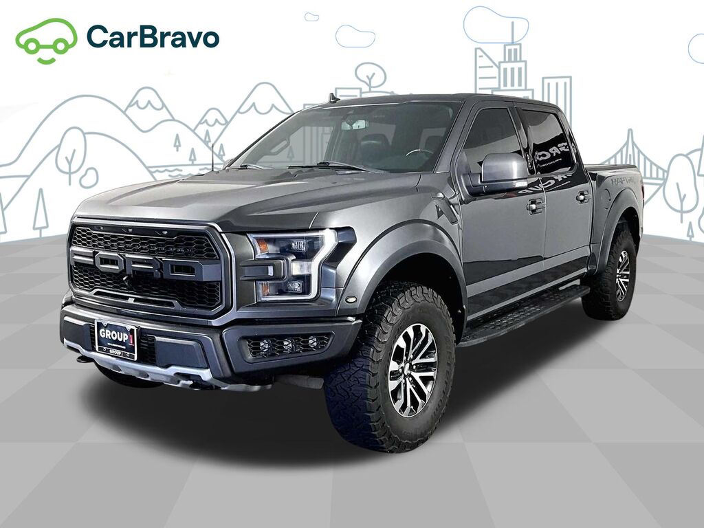 2019 Ford F-150 Raptor — photo 1 of 6