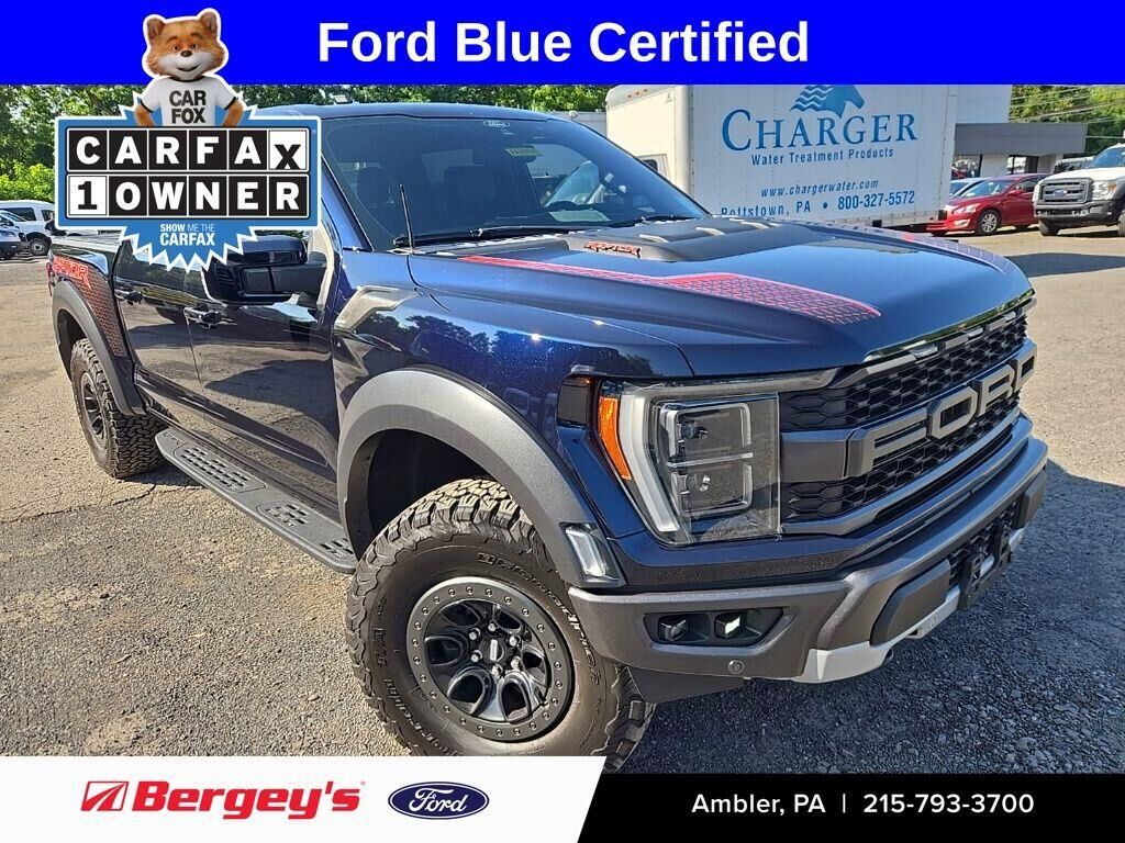 2021 Ford F-150 Raptor — photo 1 of 6