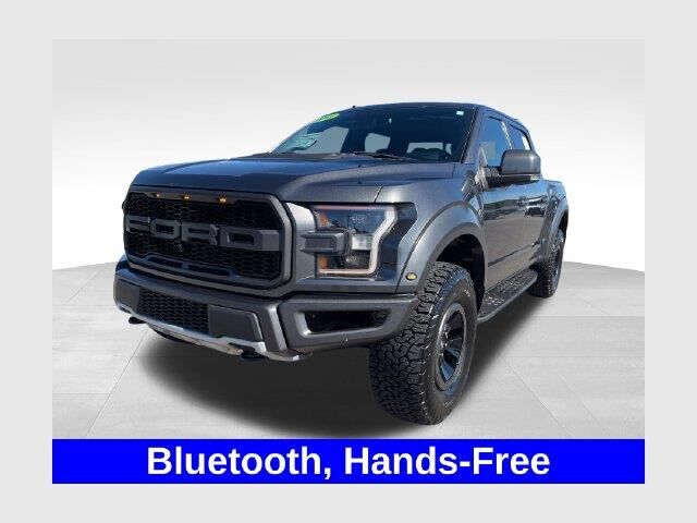 2017 Ford F-150 Raptor — photo 1 of 13