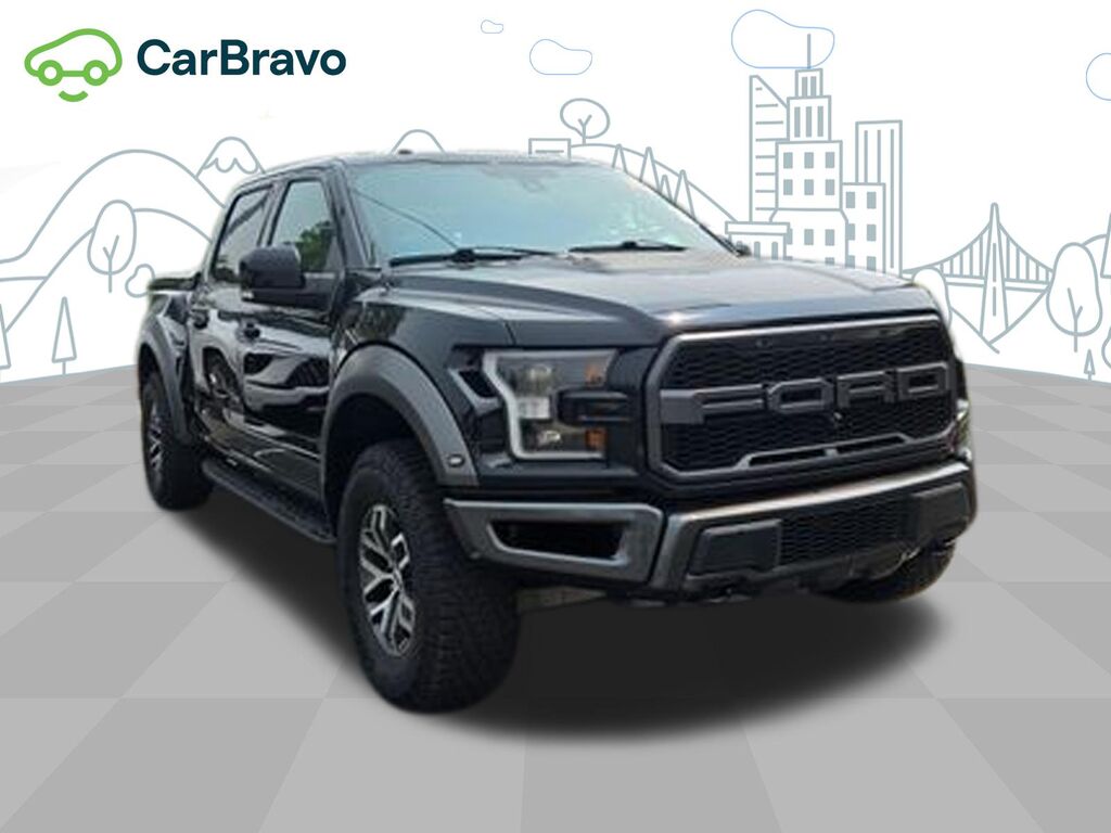 2018 Ford F-150 Raptor — photo 1 of 6
