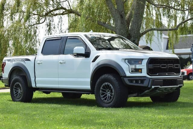 2019 Ford F-150 Raptor — photo 1 of 13