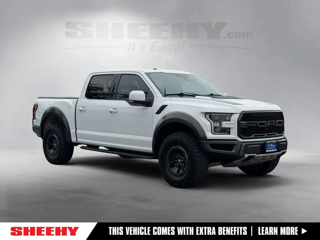 2017 Ford F-150 Raptor — photo 1 of 10