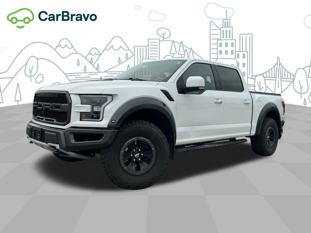 2018 Ford F-150 Raptor — photo 1 of 6