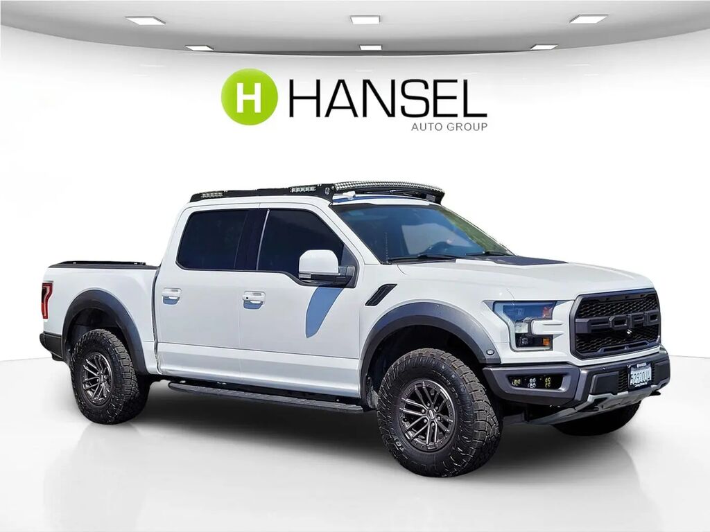 2019 Ford F-150 Raptor — photo 1 of 13