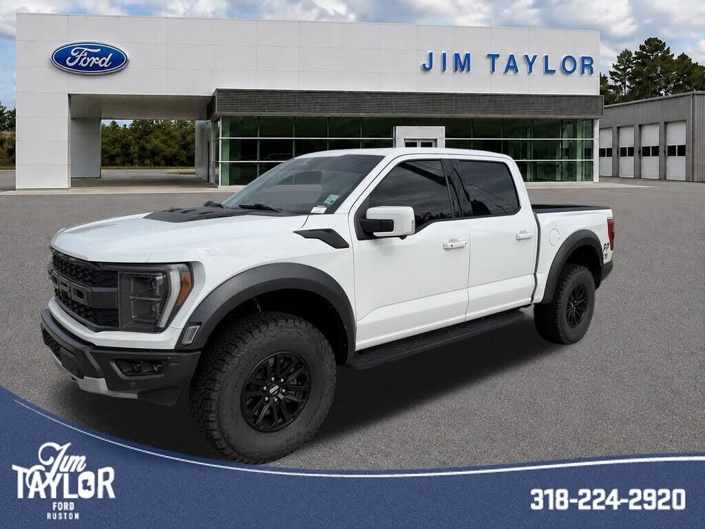 2021 Ford F-150 Raptor — photo 1 of 1