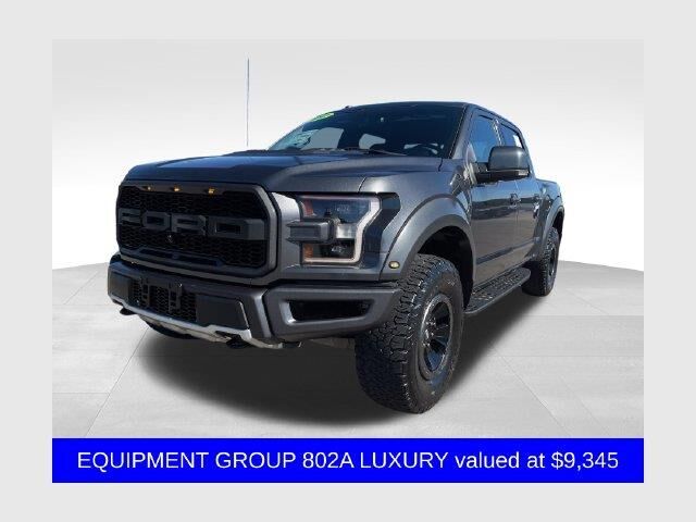 2017 Ford F-150 Raptor — photo 1 of 13