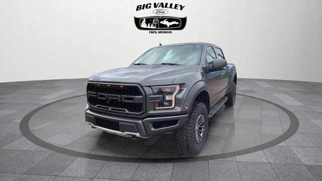 2019 Ford F-150 Raptor — photo 1 of 13