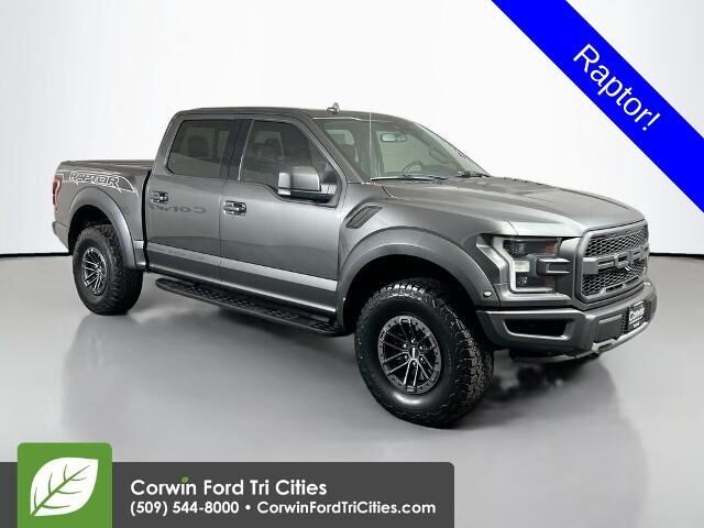 2019 Ford F-150 Raptor — photo 1 of 22